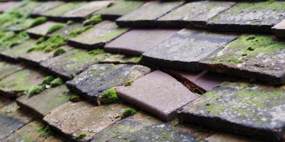 Elkesley roof repair costs